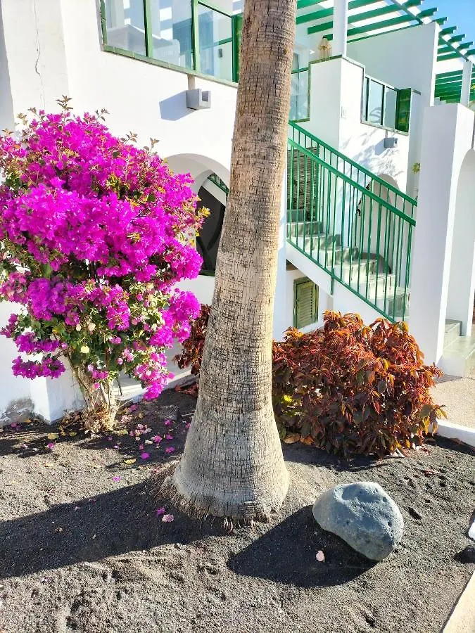 Apartamento Casa De Guacimeta Puerto del Carmen  0*, Puerto del Carmen (Lanzarote) España